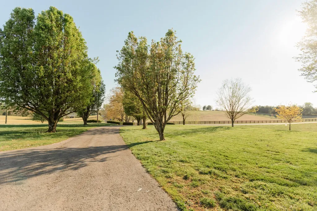 734 E Old Norwood Road Science Hill KY 42553