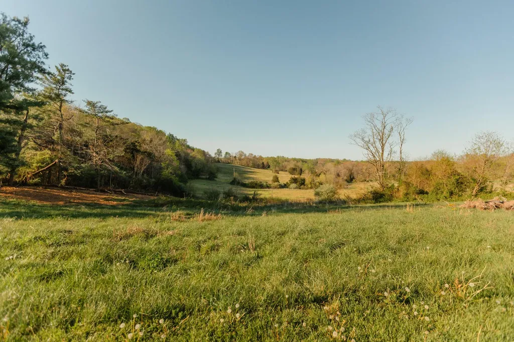 734 E Old Norwood Road Science Hill KY 42553