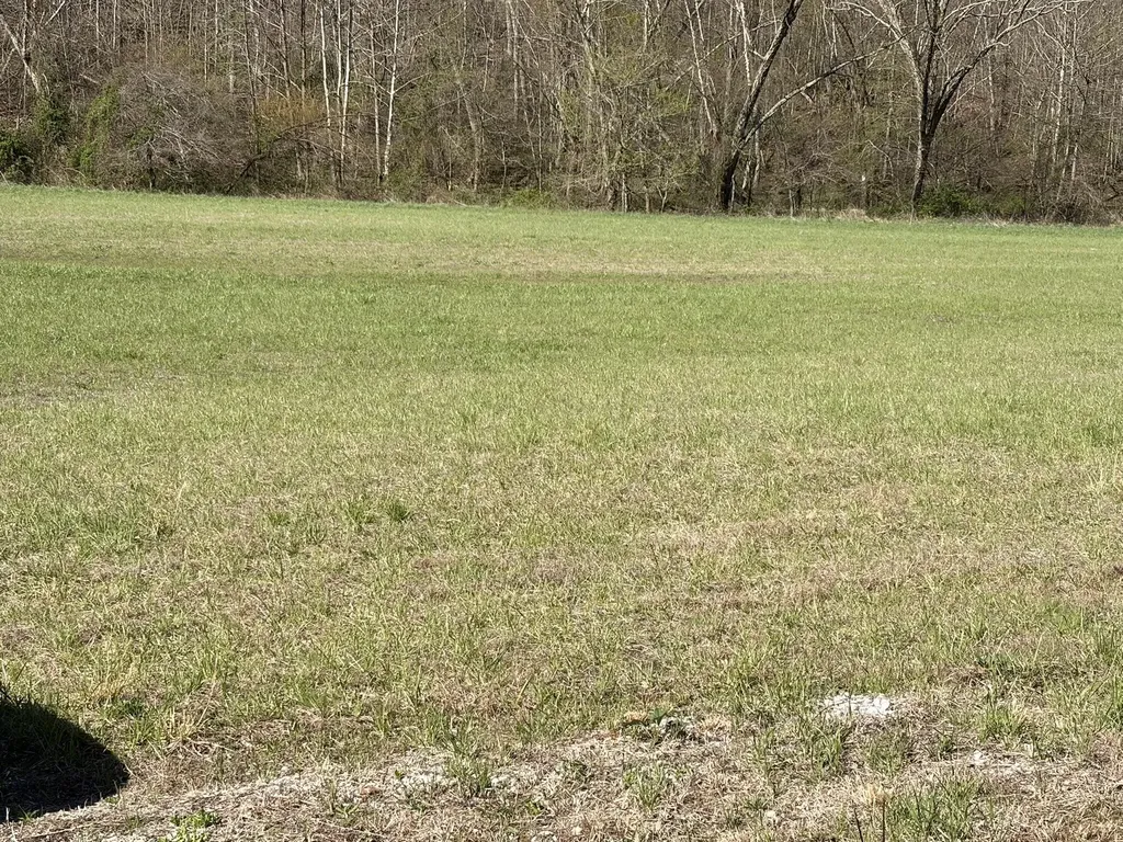 1025 State Highway 589 West Liberty KY 41472