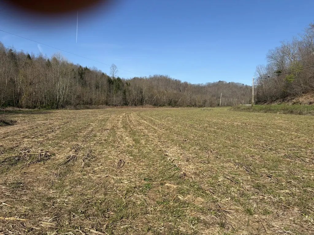 1025 State Highway 589 West Liberty KY 41472