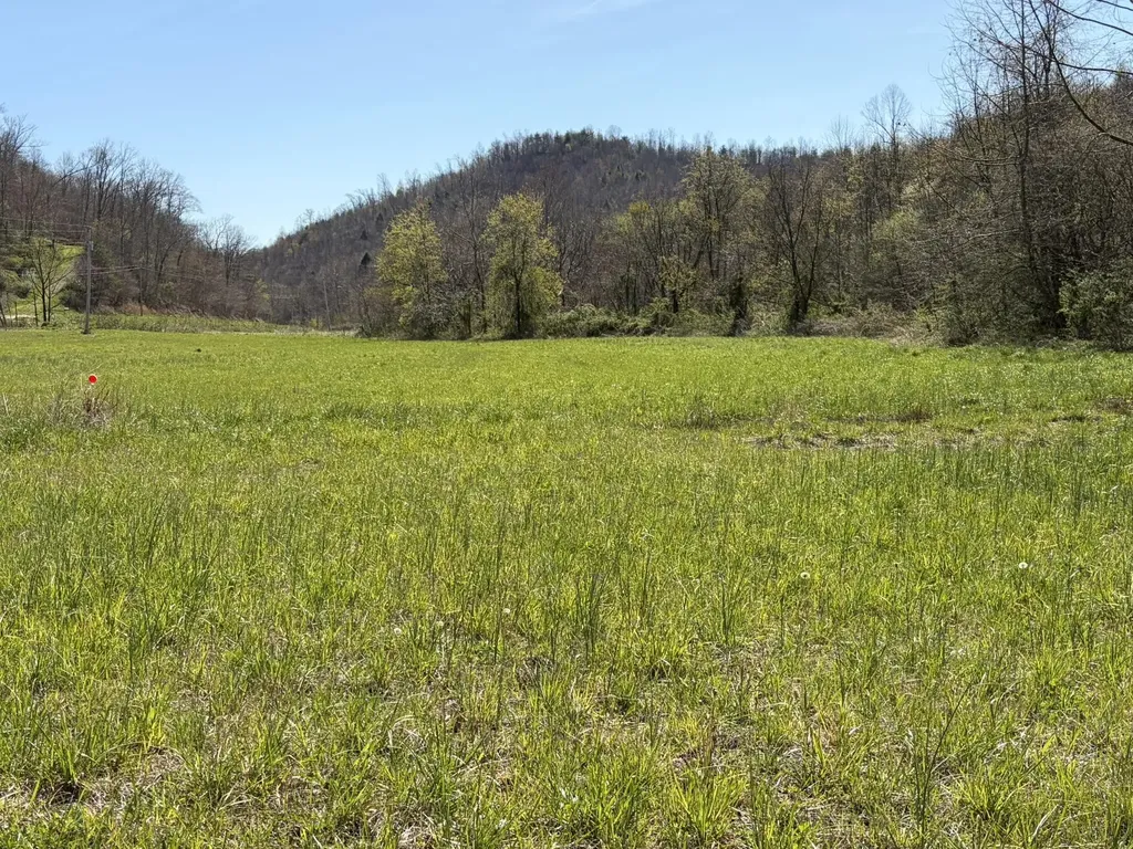1025 State Highway 589 West Liberty KY 41472