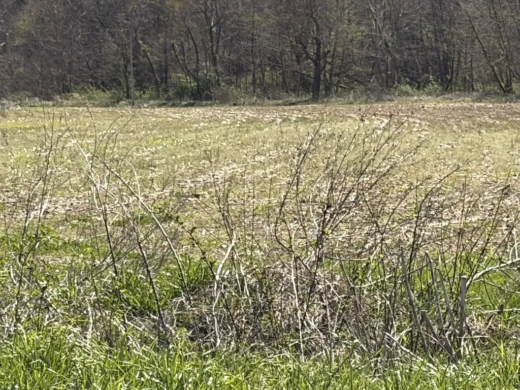 1025 State Highway 589 West Liberty KY 41472