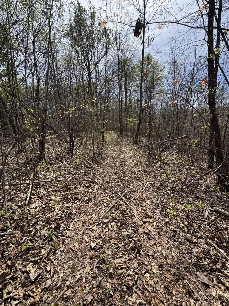 1 Callebs Creek Road Hinkle KY 40953