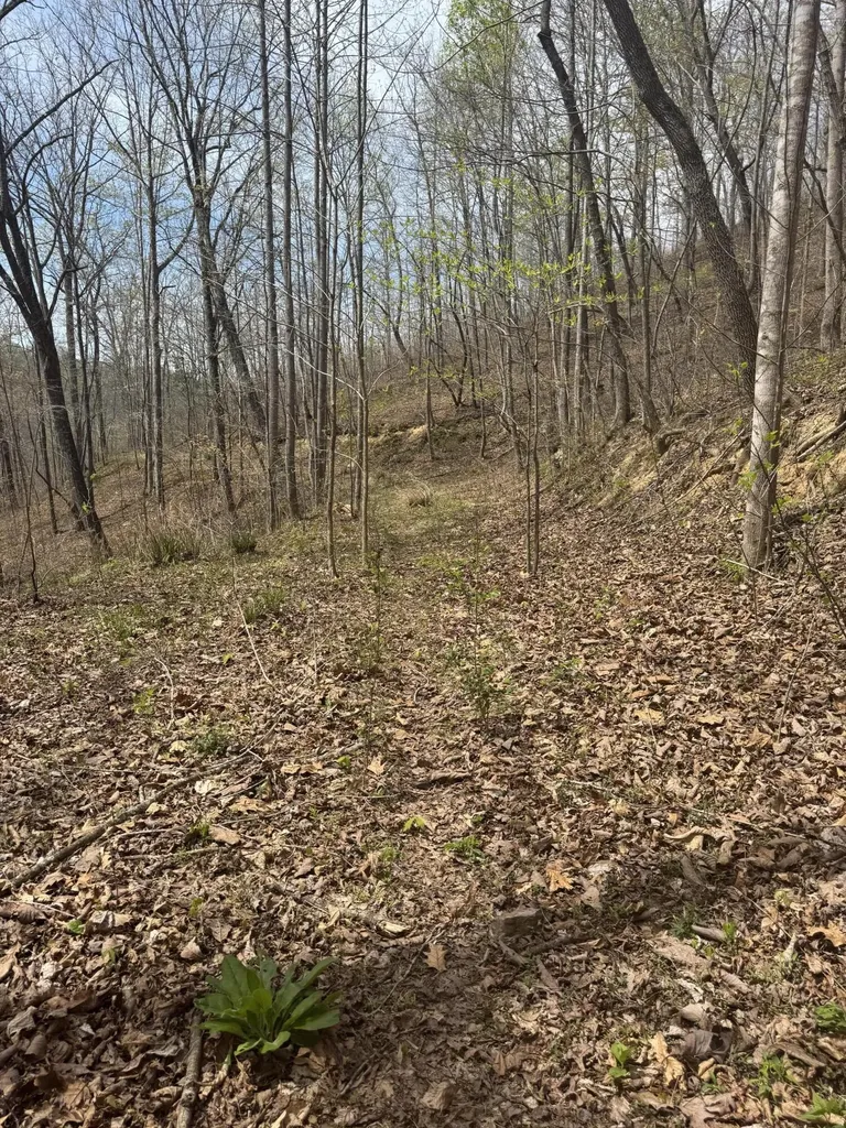 1 Callebs Creek Road Hinkle KY 40953