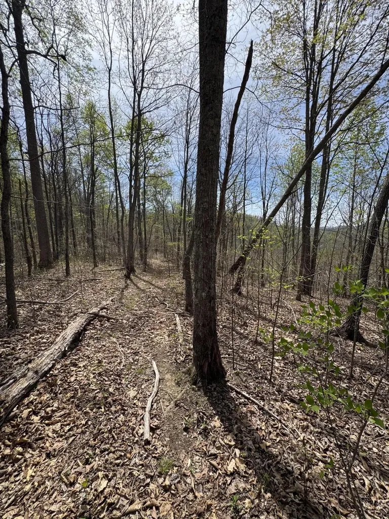 1 Callebs Creek Road Hinkle KY 40953