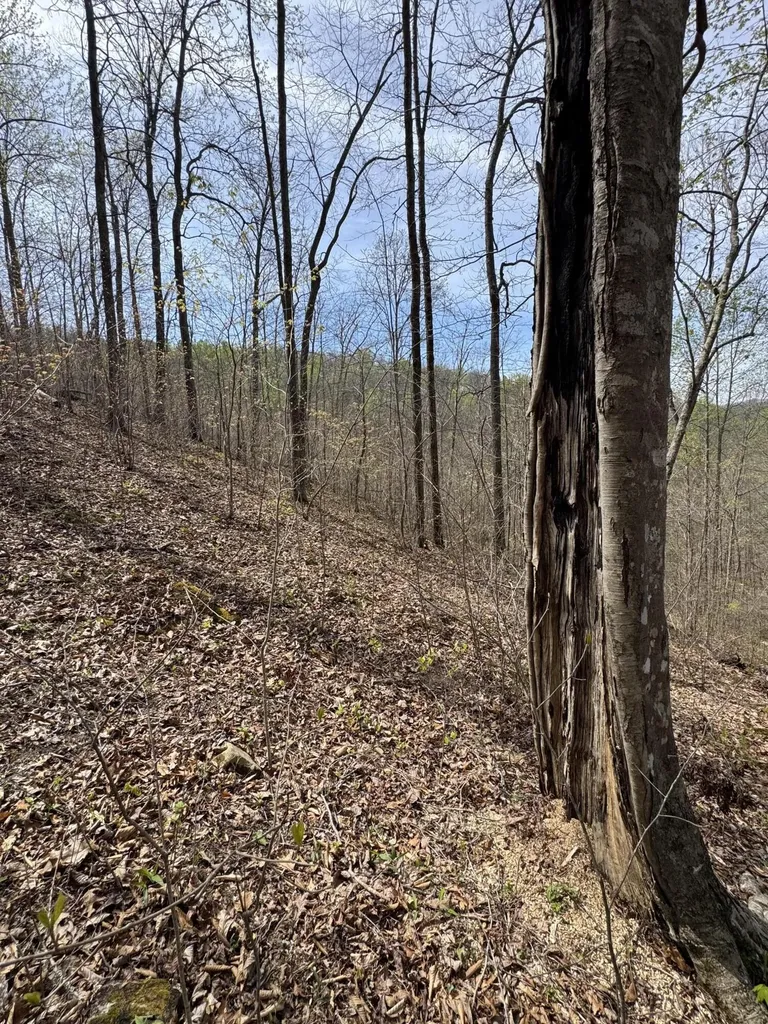 1 Callebs Creek Road Hinkle KY 40953