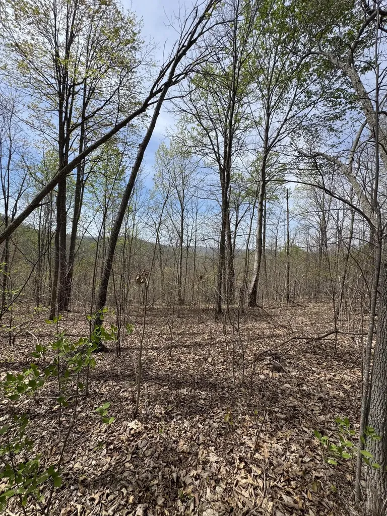 1 Callebs Creek Road Hinkle KY 40953