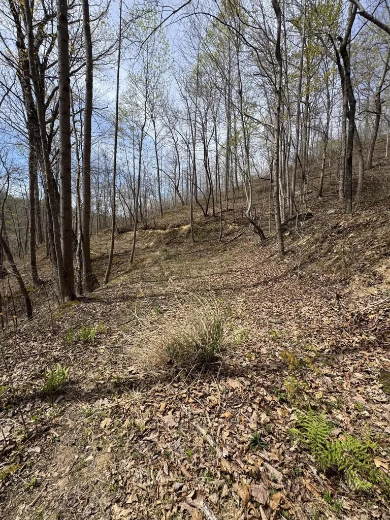 1 Callebs Creek Road Hinkle KY 40953
