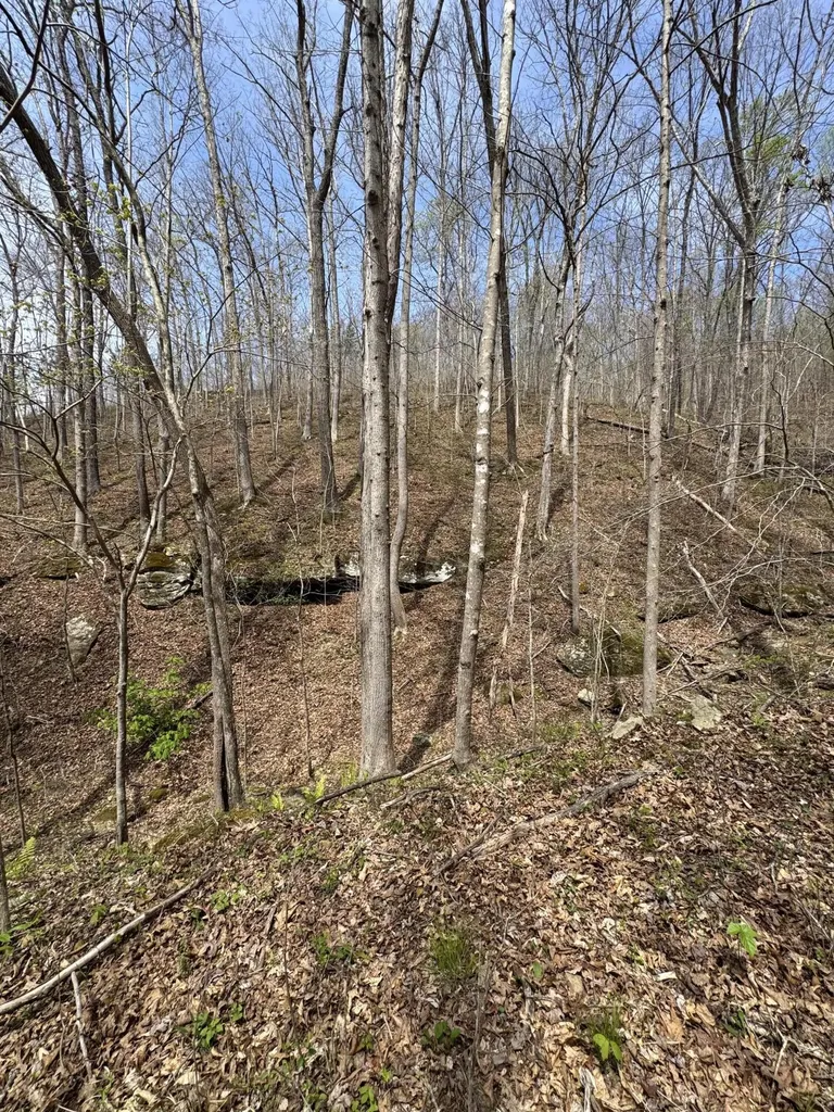 1 Callebs Creek Road Hinkle KY 40953
