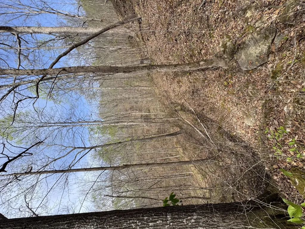 1 Callebs Creek Road Hinkle KY 40953