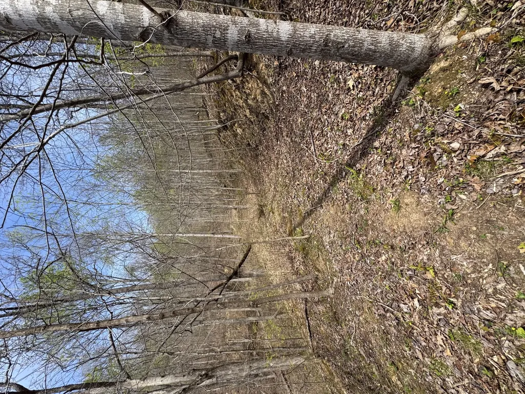 1 Callebs Creek Road Hinkle KY 40953