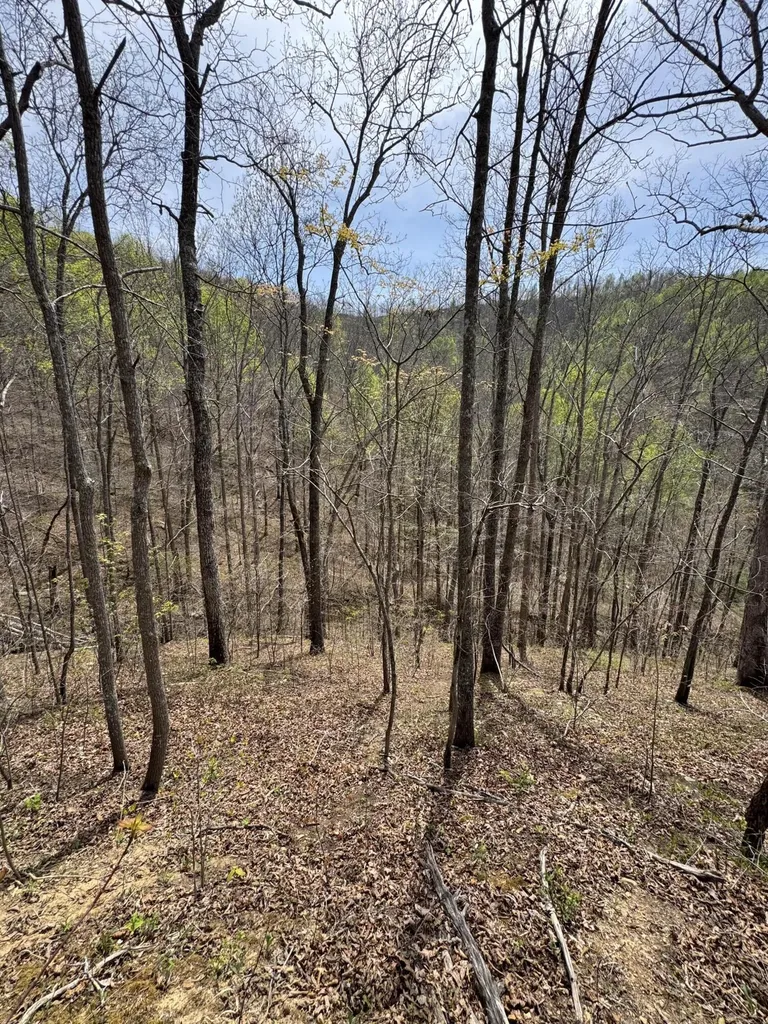 1 Callebs Creek Road Hinkle KY 40953