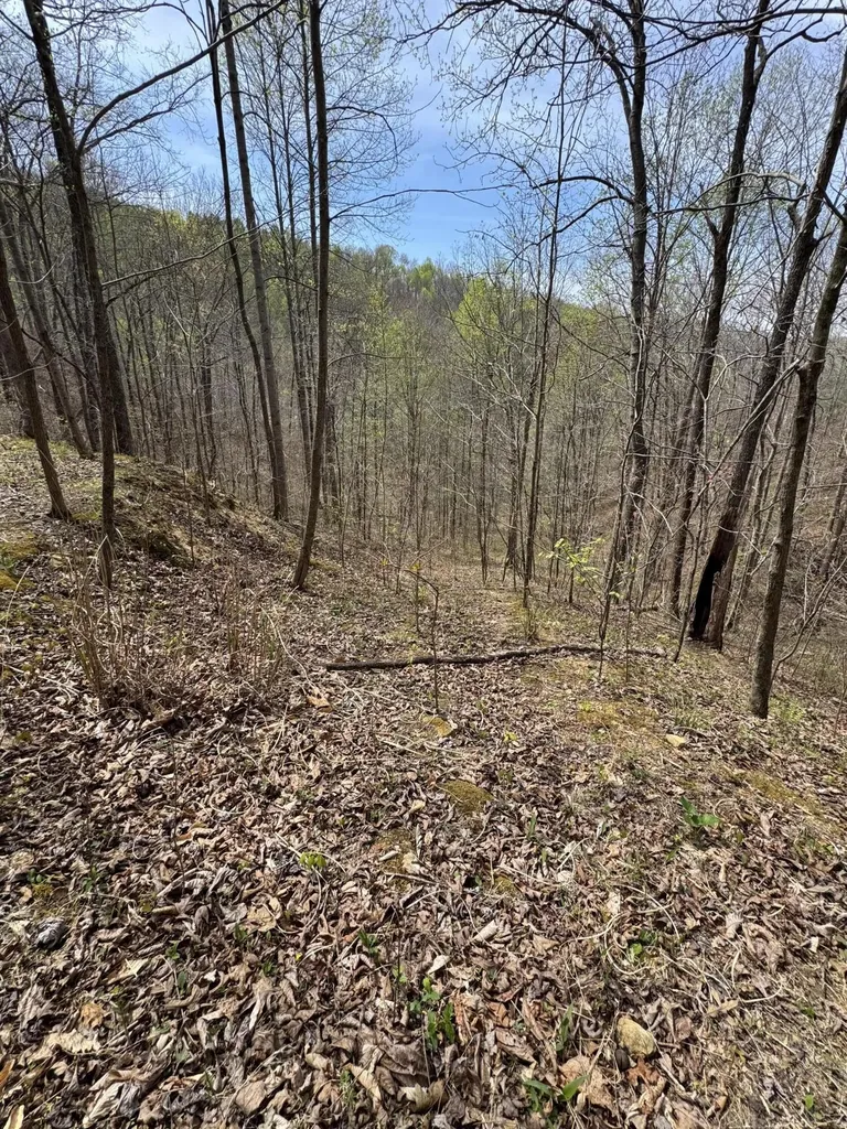 1 Callebs Creek Road Hinkle KY 40953