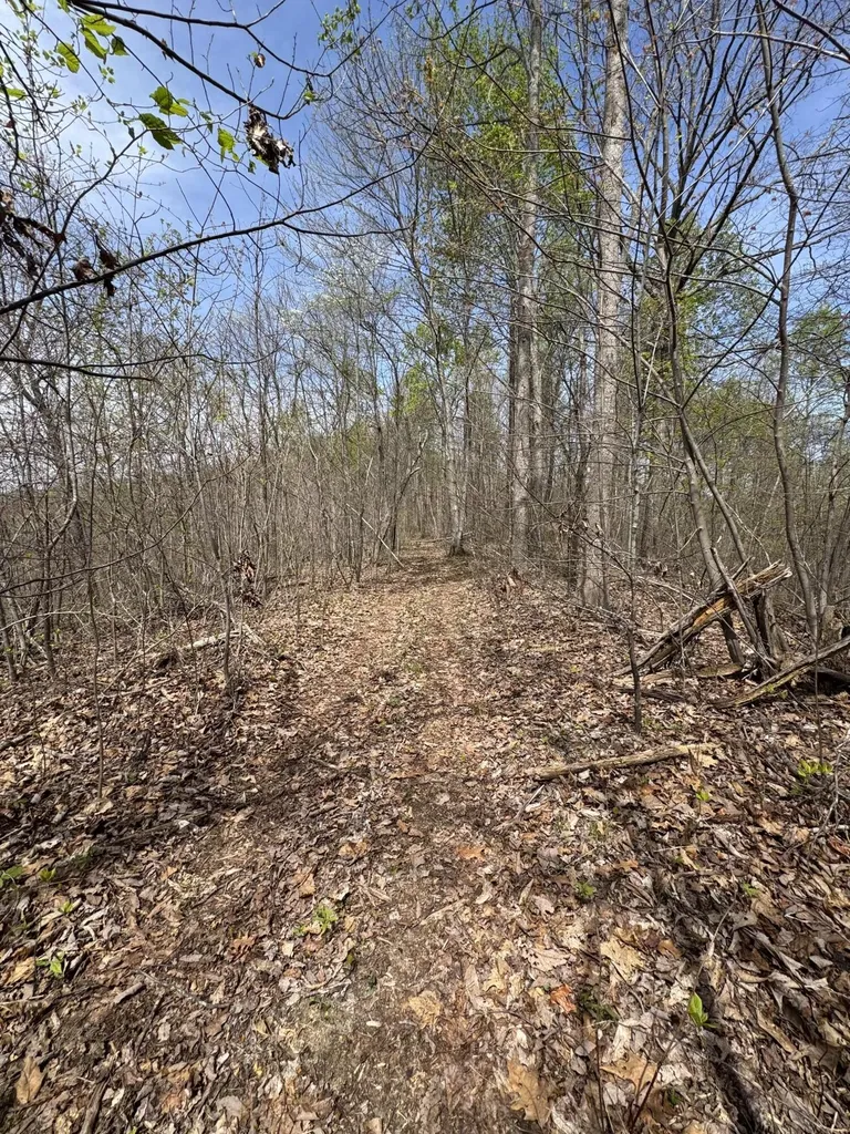 1 Callebs Creek Road Hinkle KY 40953