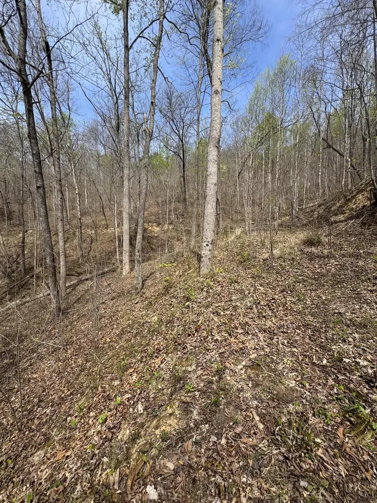 1 Callebs Creek Road Hinkle KY 40953