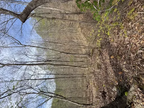 1 Callebs Creek Road Hinkle KY 40953
