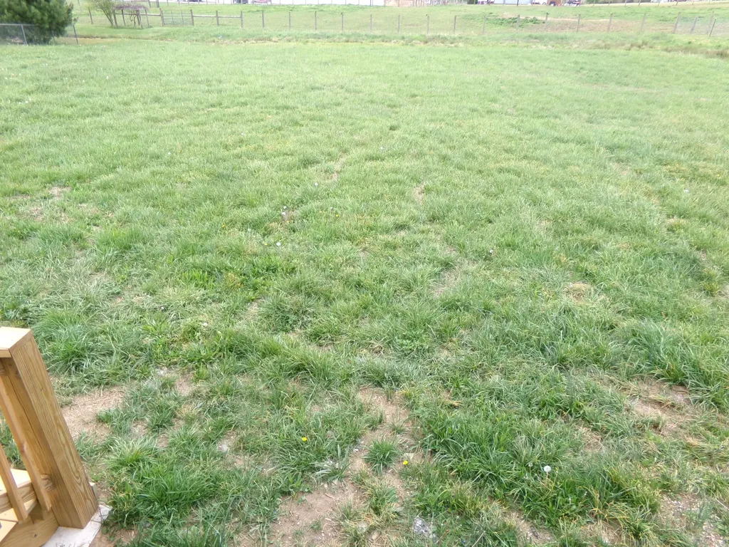 113 Spring Meadows Drive Jeffersonville KY 40337