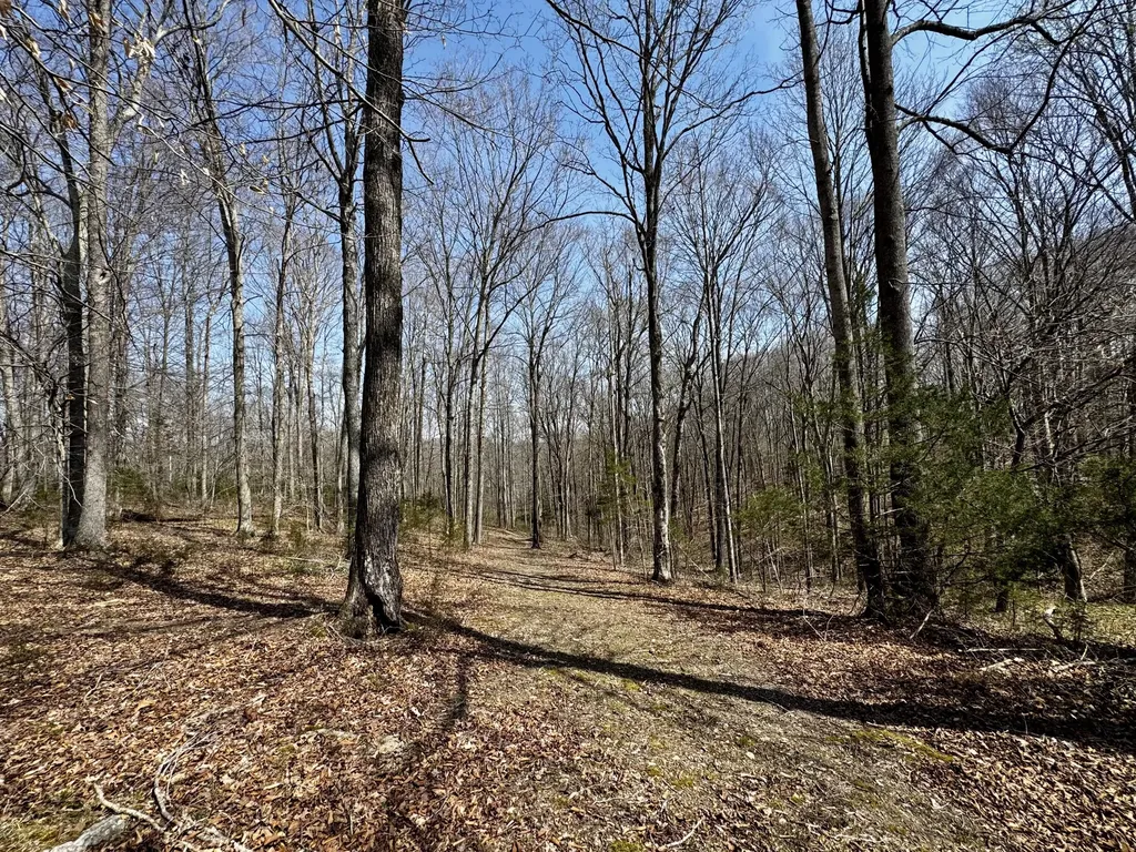 400 D Wilson Road Knifley KY 42753