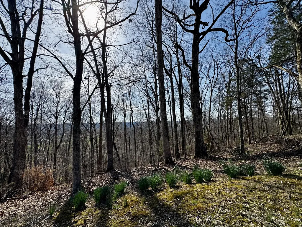 400 D Wilson Road Knifley KY 42753