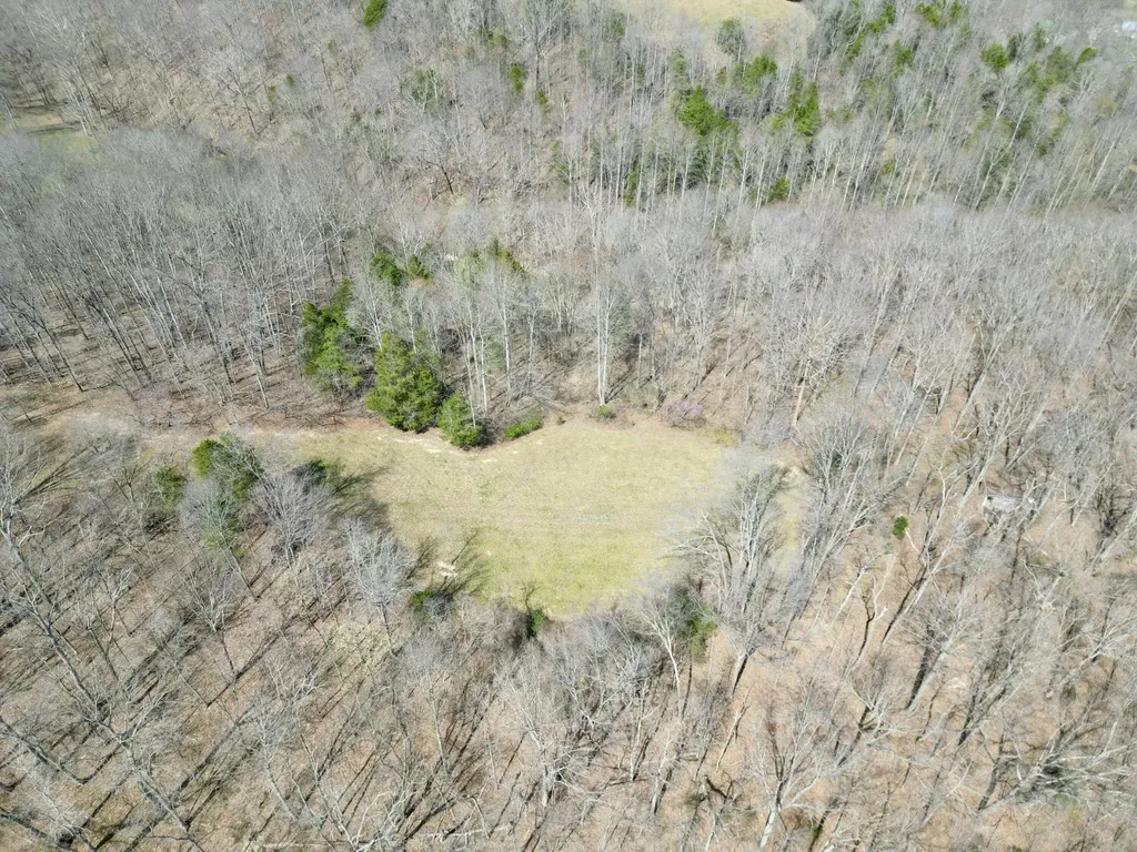 400 D Wilson Road Knifley KY 42753