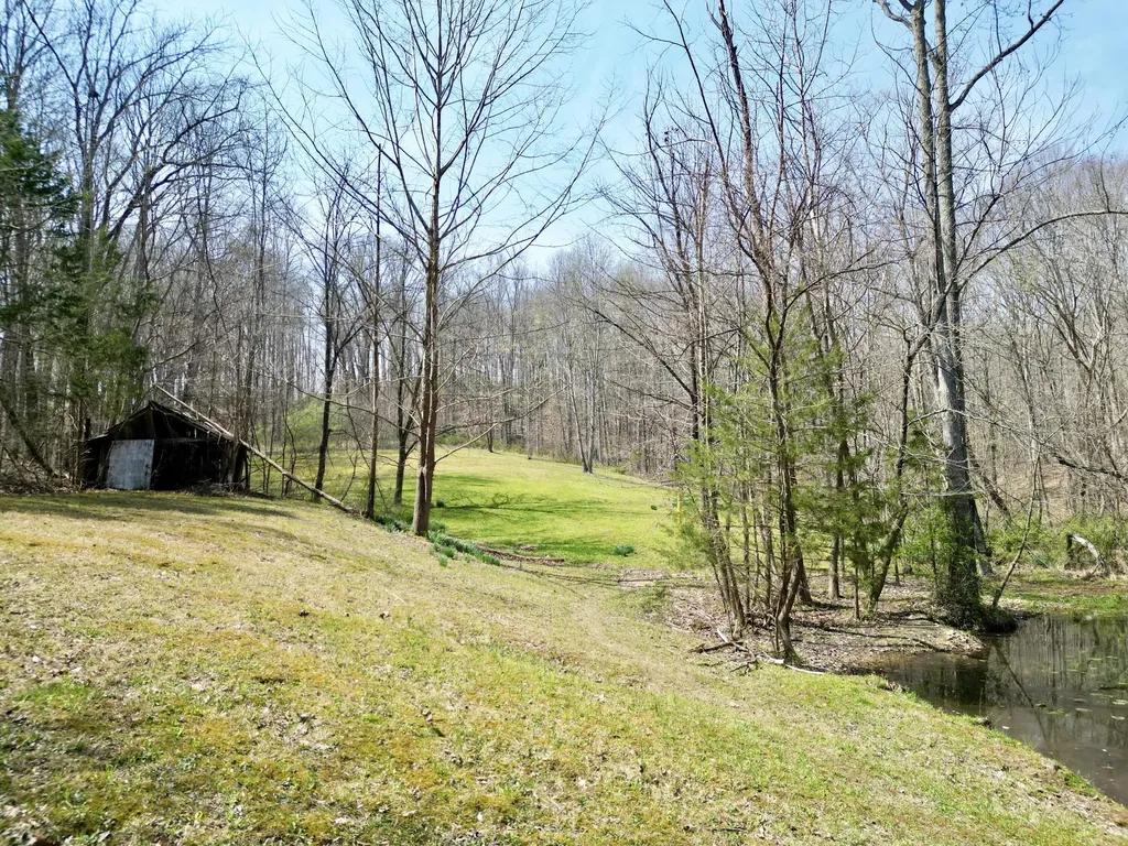 400 D Wilson Road Knifley KY 42753