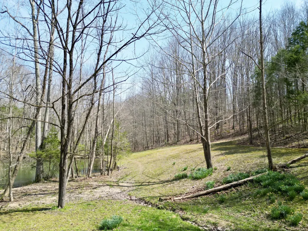 400 D Wilson Road Knifley KY 42753