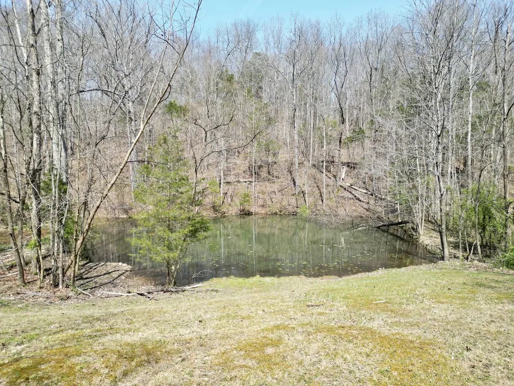400 D Wilson Road Knifley KY 42753