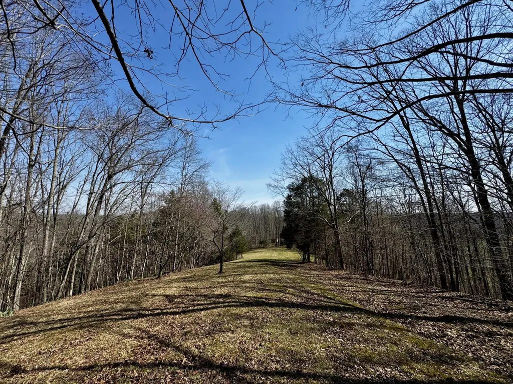 400 D Wilson Road Knifley KY 42753