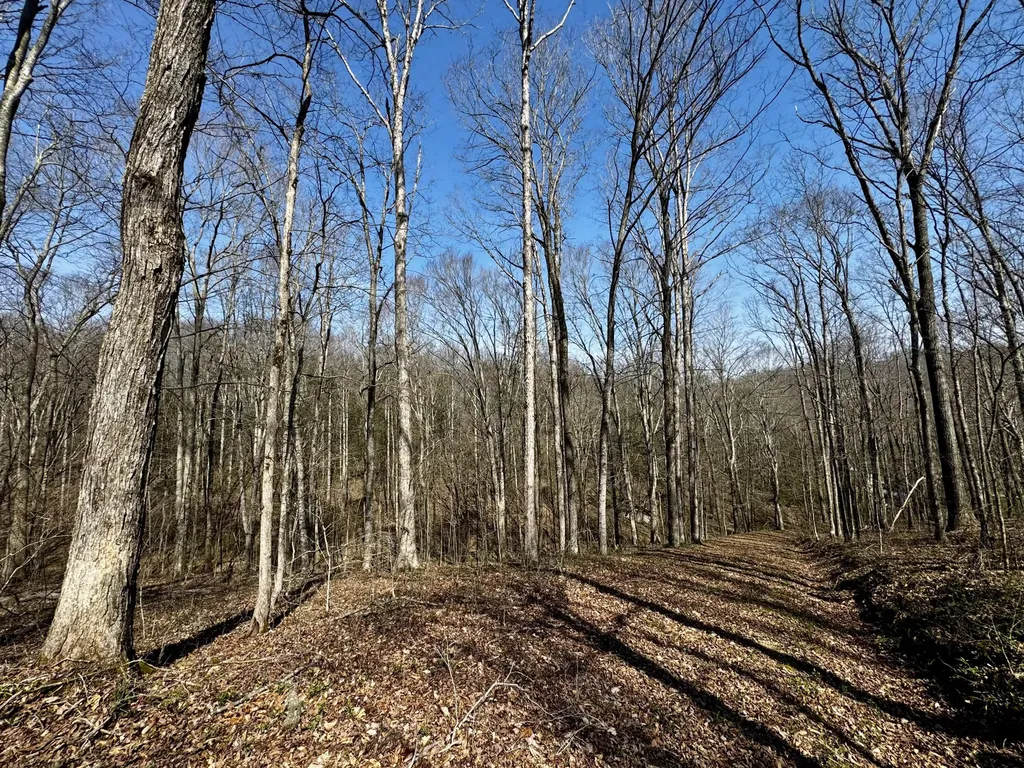 400 D Wilson Road Knifley KY 42753