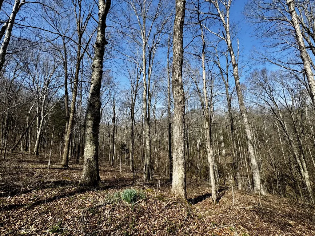 400 D Wilson Road Knifley KY 42753