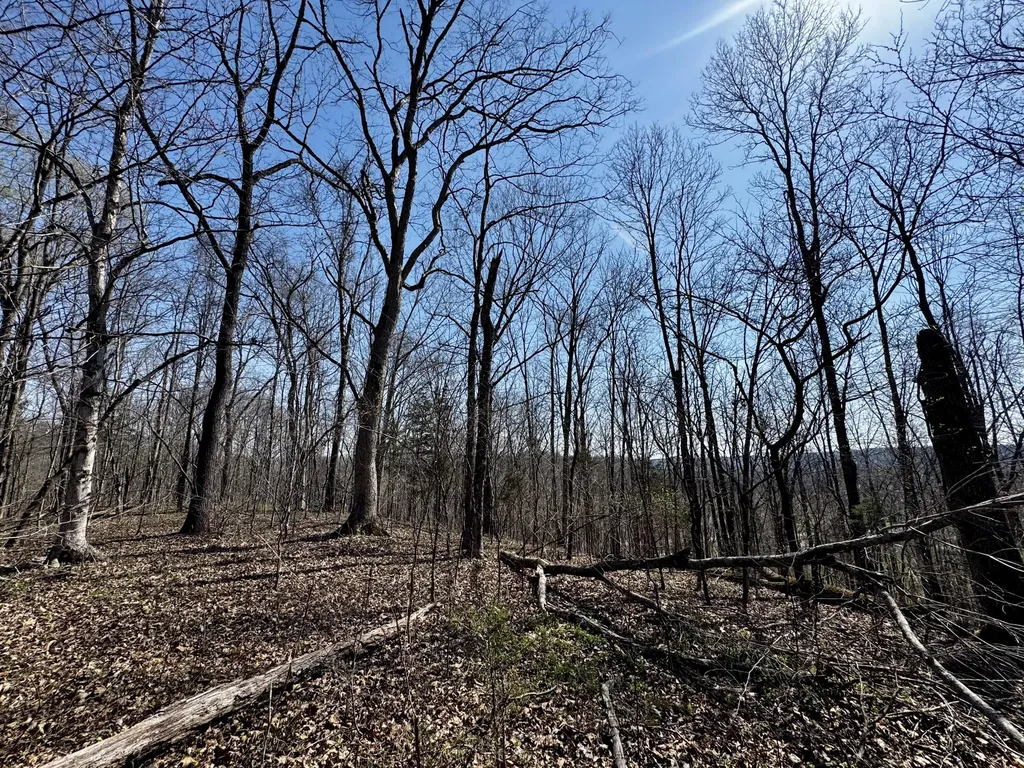 400 D Wilson Road Knifley KY 42753