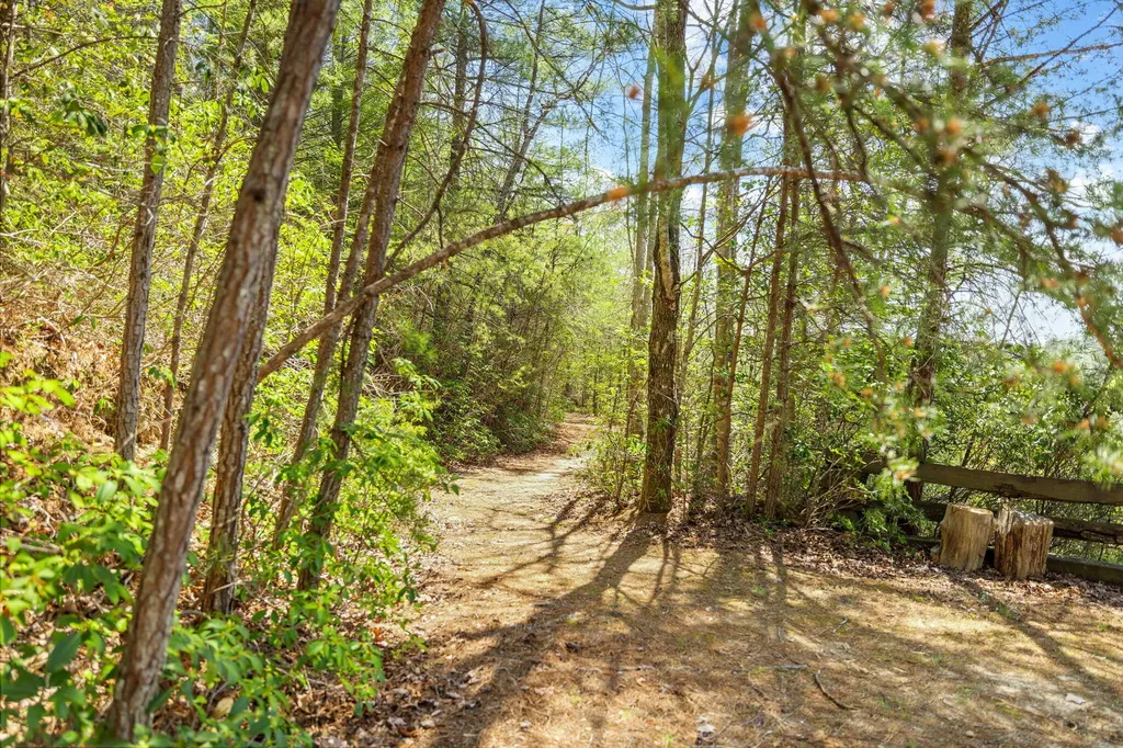 498 Lakeside Drive Zoe KY 41397