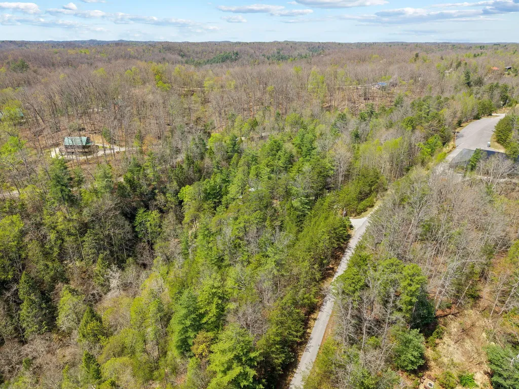 498 Lakeside Drive Zoe KY 41397