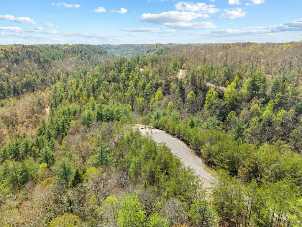498 Lakeside Drive Zoe KY 41397