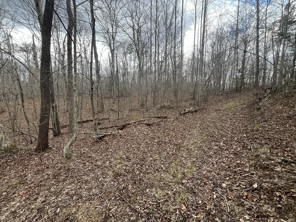 Lot 10 Mountain Springs Cem Road Ravenna KY 40472