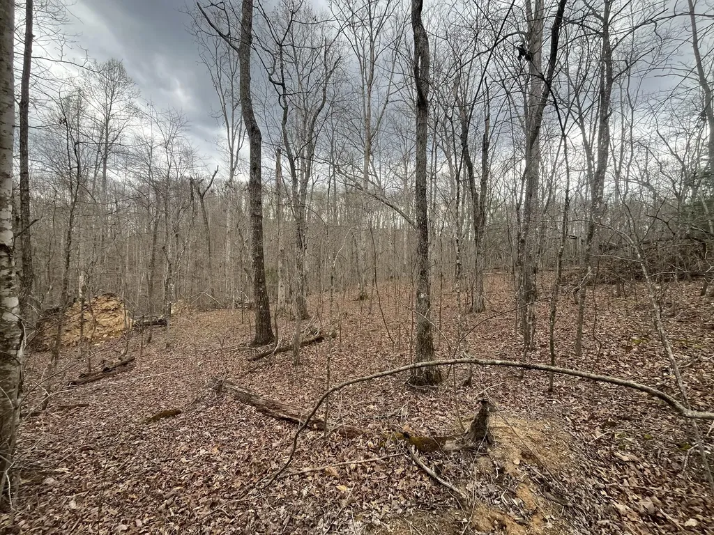 Lot 10 Mountain Springs Cem Road Ravenna KY 40472