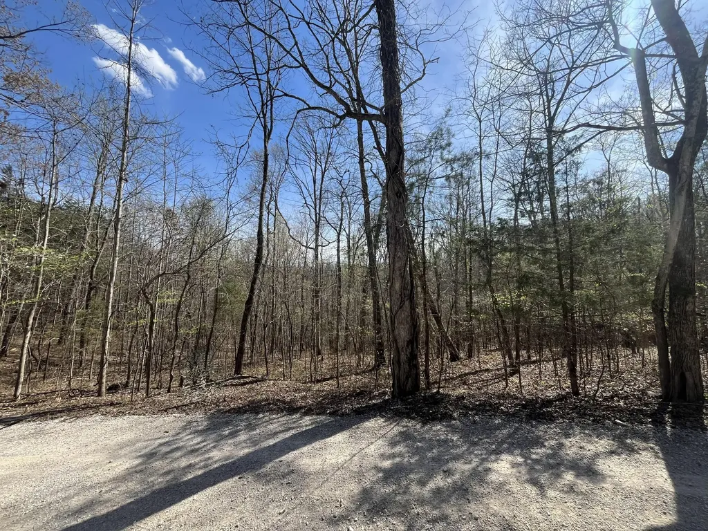 Lot 10 Mountain Springs Cem Road Ravenna KY 40472