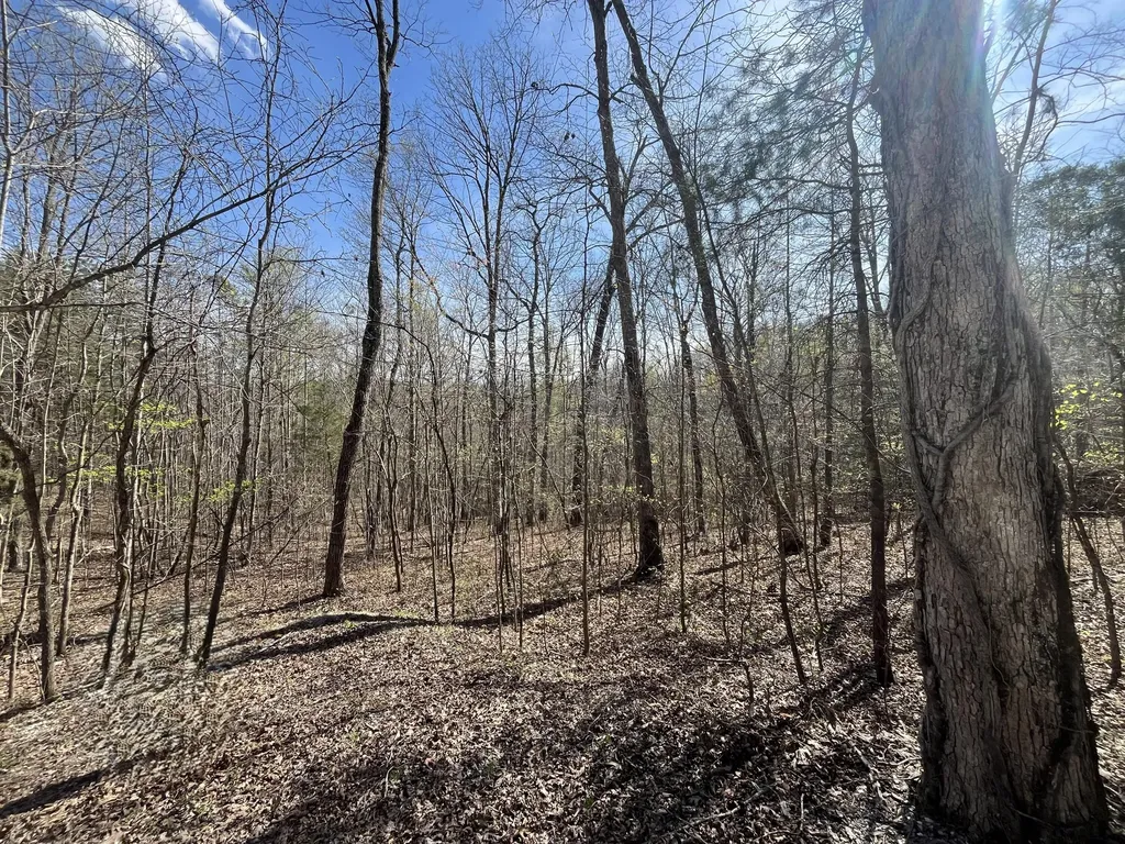 Lot 10 Mountain Springs Cem Road Ravenna KY 40472