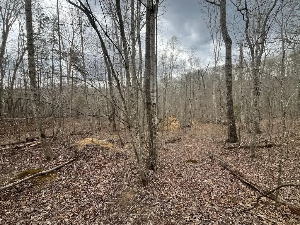 Lot 10 Mountain Springs Cem Road Ravenna KY 40472