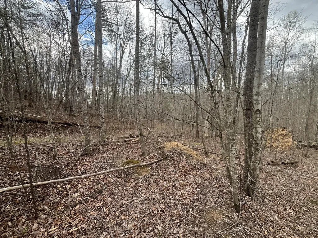 Lot 10 Mountain Springs Cem Road Ravenna KY 40472