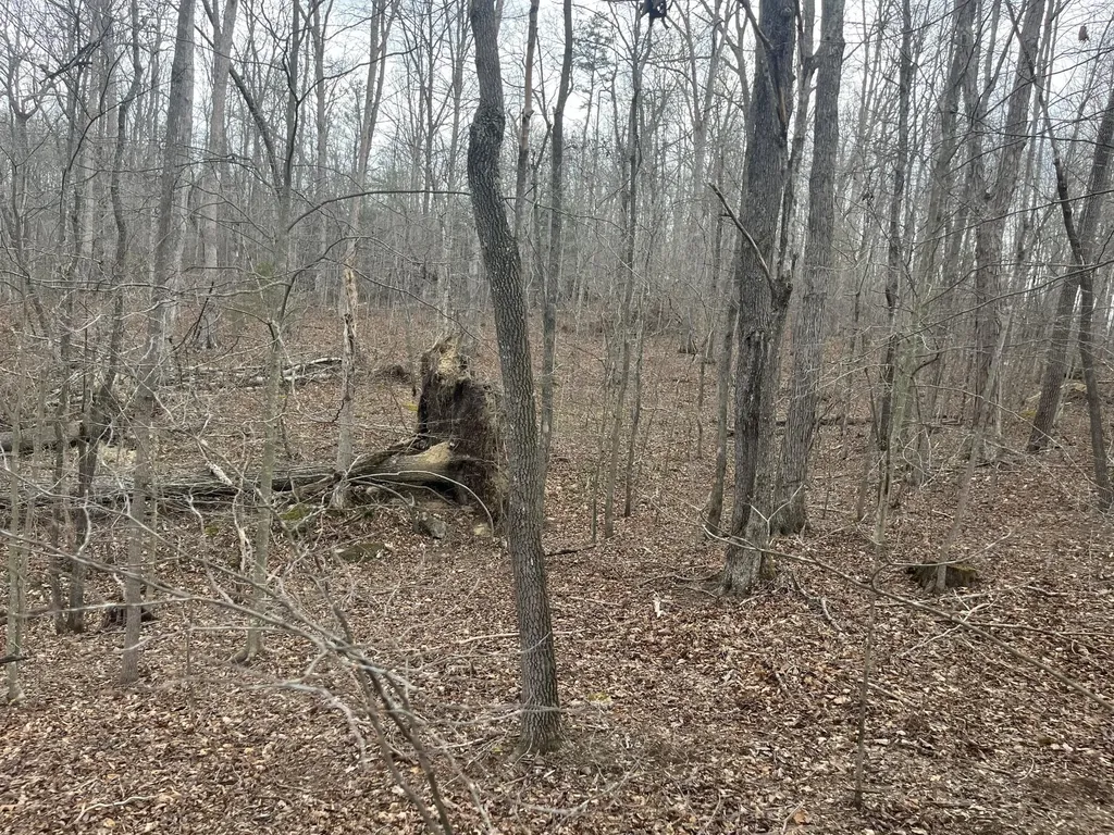 Lot 10 Mountain Springs Cem Road Ravenna KY 40472