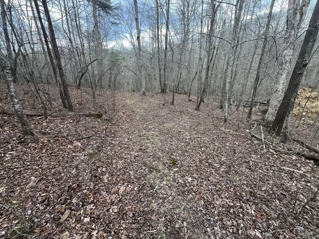 Lot 10 Mountain Springs Cem Road Ravenna KY 40472