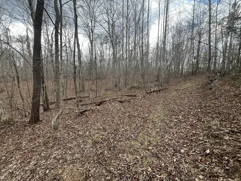Lot 10 Mountain Springs Cem Road Ravenna KY 40472