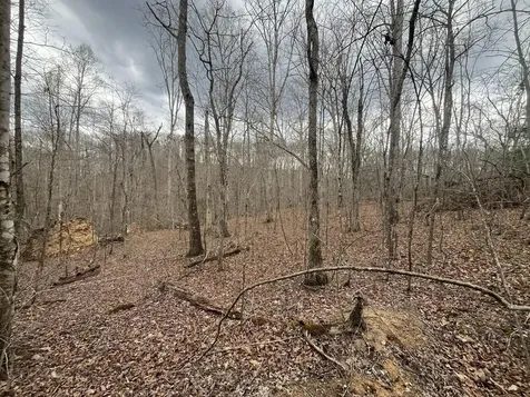 Lot 10 Mountain Springs Cem Road Ravenna KY 40472