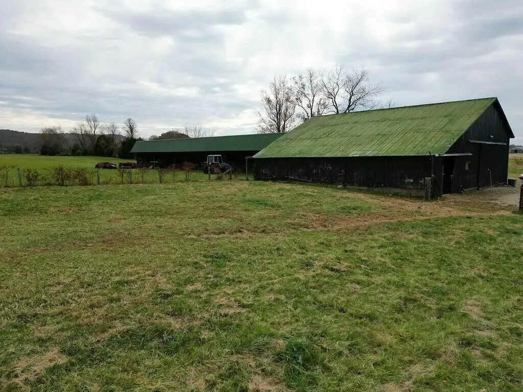 878 Horizon Loop Monticello KY 42633