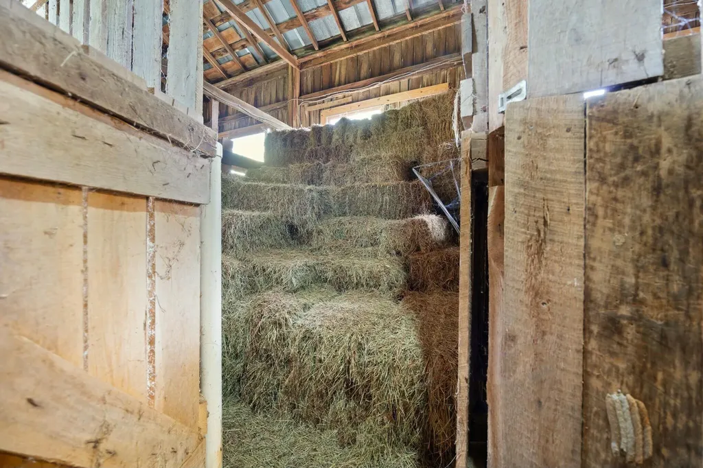 878 Horizon Loop Monticello KY 42633