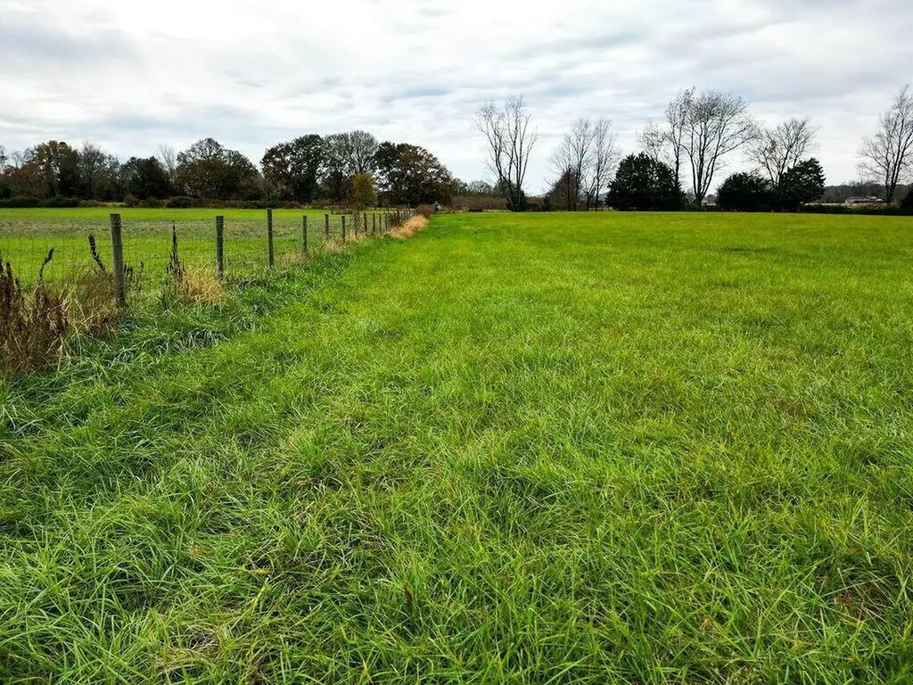 878 Horizon Loop Monticello KY 42633