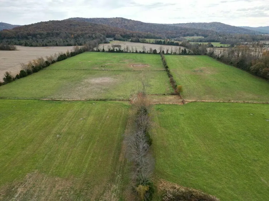 878 Horizon Loop Monticello KY 42633