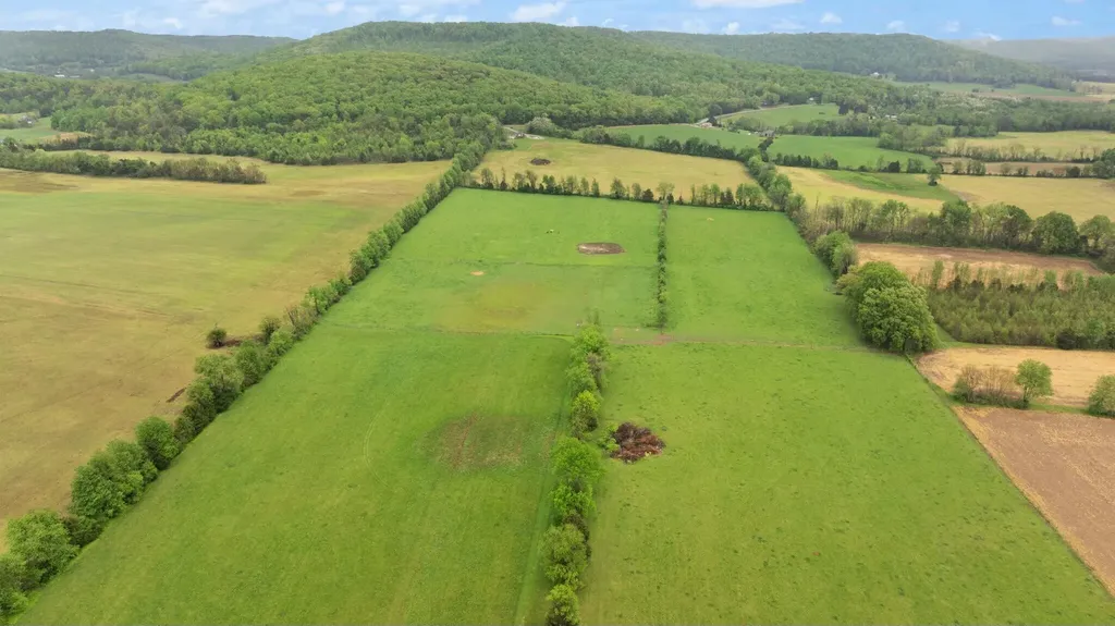 878 Horizon Loop Monticello KY 42633