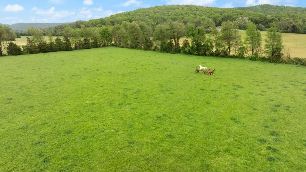 878 Horizon Loop Monticello KY 42633